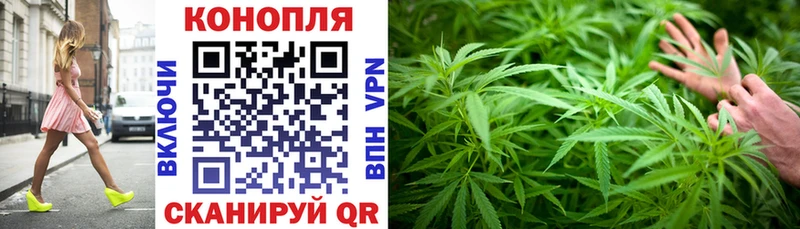 МАРИХУАНА White Widow Краснознаменск